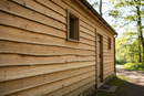 3.6m Waney Edge Larch (Average 8"-10" Wide)